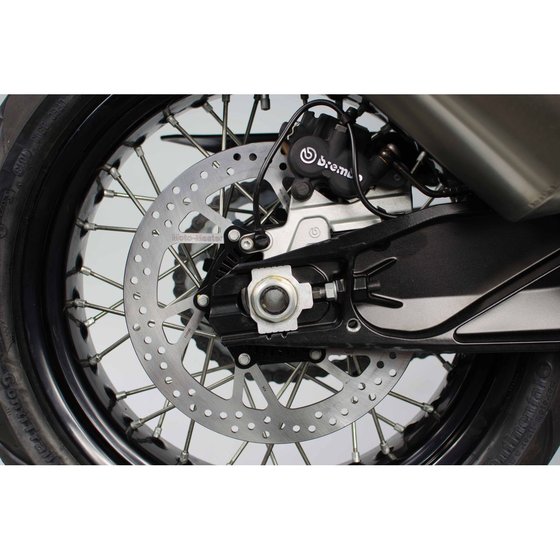 DIAVEL 1260 (2019 - 2022) halo rear brake rotor | MOTO-MASTER