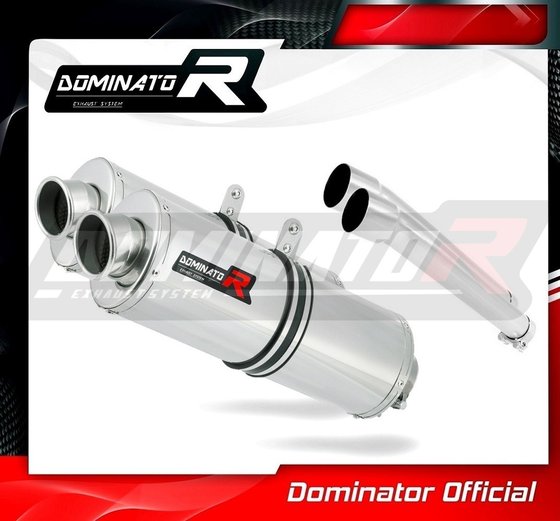 900 SS (2000 - 2002) exhaust silencer oval | Dominator