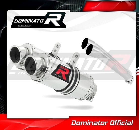 900 SS (2000 - 2002) exhaust silencer gp1 | Dominator