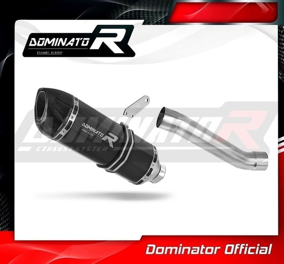 MONSTER 821 (2018 - 2021) exhaust silencer muffler hp1 black | Dominator