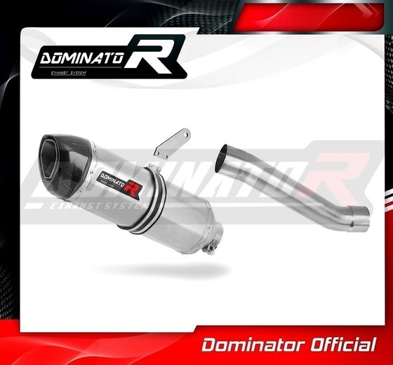 MONSTER 821 (2018 - 2021) exhaust silencer hp1 | Dominator