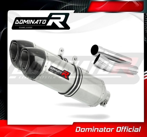 MONSTER 800 (1996 - 2005) exhaust silencer hp1 | Dominator