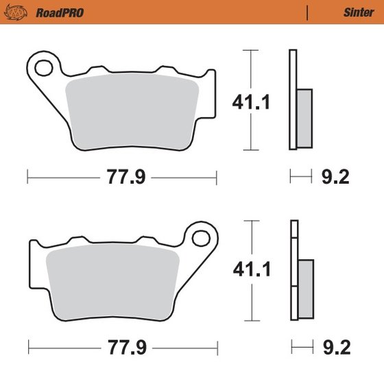 GT 1000 (2006 - 2010) sintered rear brake pad | MOTO-MASTER