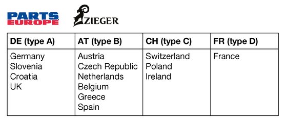 PANIGALE 1000 (2019 - 2020) license plate holder for panigale v4 | ZIEGER