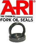 ST3 1000 (2006 - 2007) ari oil seal, 43 x 54 x 11 | ARIETE