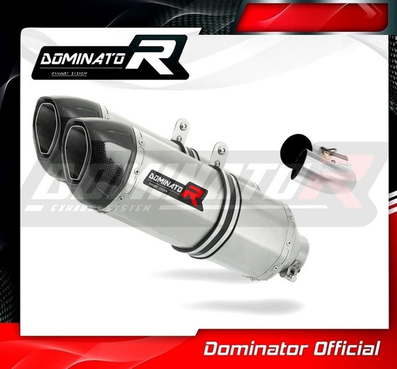 MONSTER 696 (2008 - 2014) exhaust silencer hp1 | Dominator