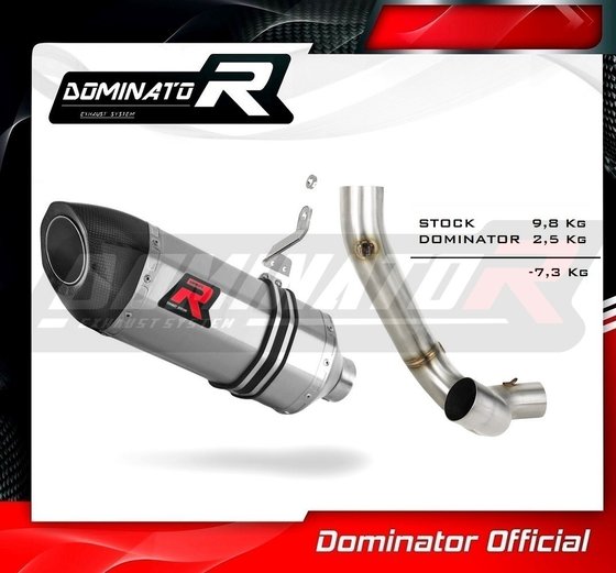 XDIAVEL 1260 (2016 - 2021) exhaust silencer hp5 | Dominator