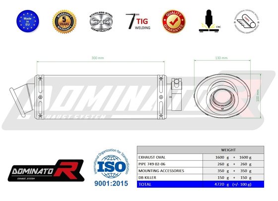 749 (2002 - 2006) exhaust silencer oval | Dominator