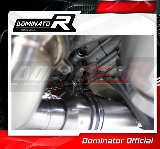 PANIGALE 1199 (2012 - 2014) exhaust silencer | Dominator